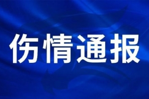 美加墨世界杯直播_美加墨世界杯直播免费观看_美加墨世界杯直播在线观看