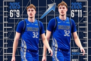 蜘蛛直播-蜘蛛直播nba高清无插件_蜘蛛直播nba免费高清现场转播