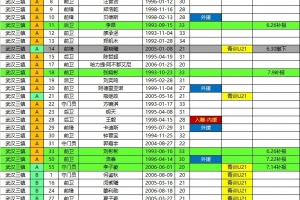 球帝直播_球帝免费高清直播观看_球帝直播无插件