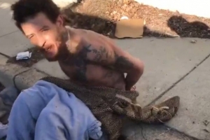 世界杯直播_世界杯直播高清入口在线看平台_世界杯直播无插件赛事视频
