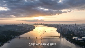 葡萄牙世界杯直播_2026美加墨世界杯葡萄牙免费直播_世界杯在线高清视频无插件